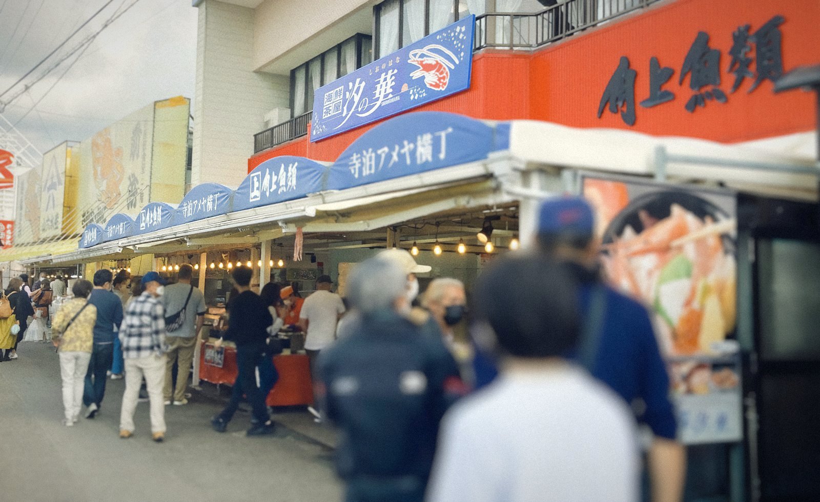 寺泊魚の市場通り ― NEMARUから車で約20分