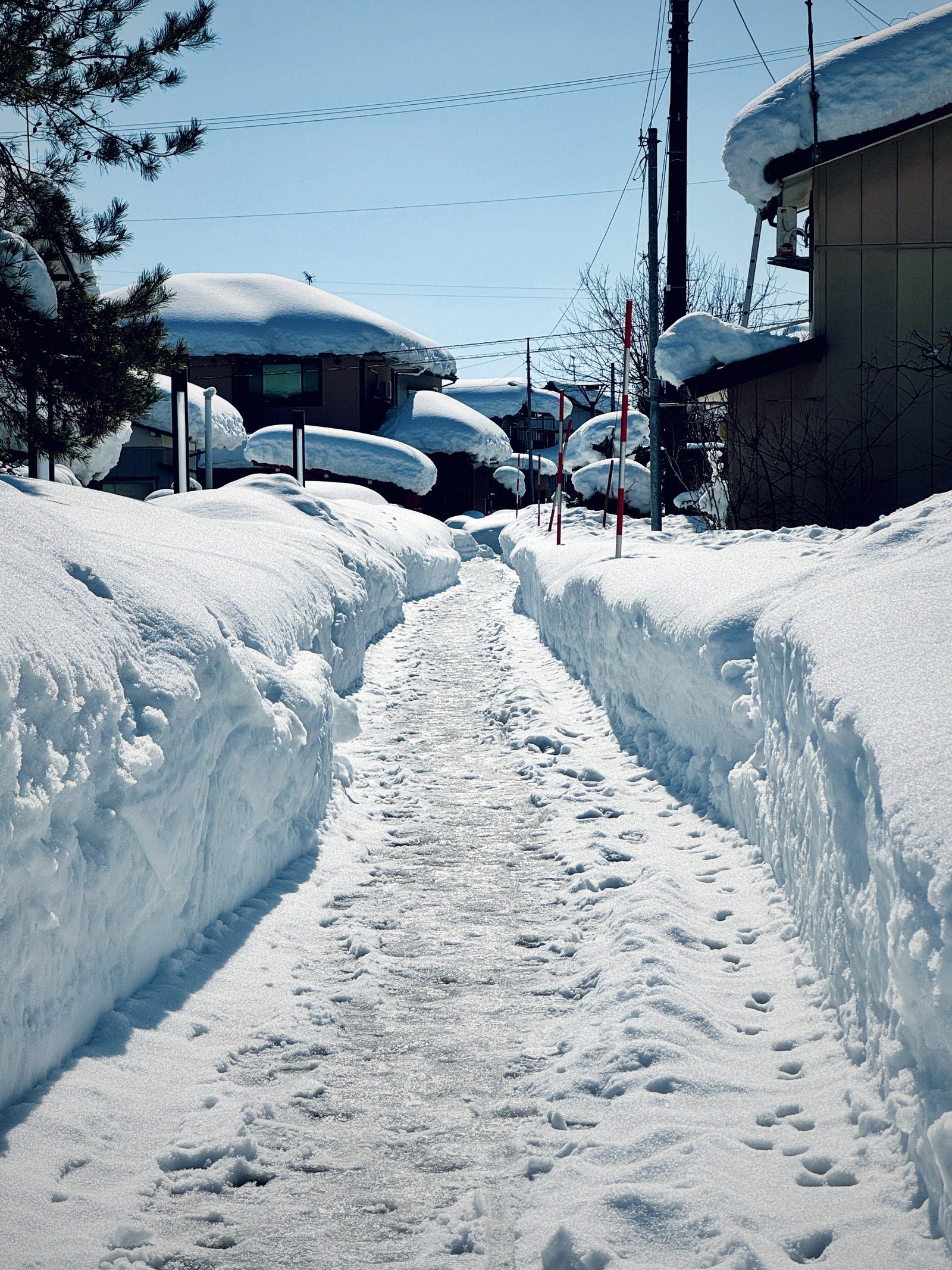 冬のNEMARU ― 雪に包まれた新潟・与板の古民家宿
